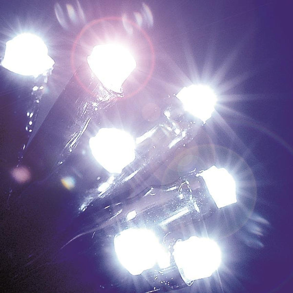 Snowtime LED Chaser Lights | Ice White | 480 | DeWaldens Garden Centre