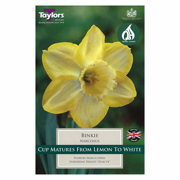 Taylors Bulbs - Narcissus Binkie x 6 Bulbs - DeWaldens Garden Centre