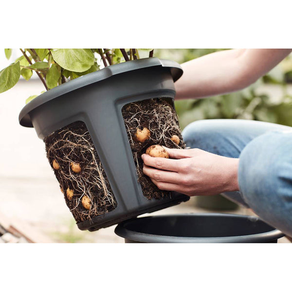 Elho Green Basics Potato Pot - DeWaldens Garden Centre