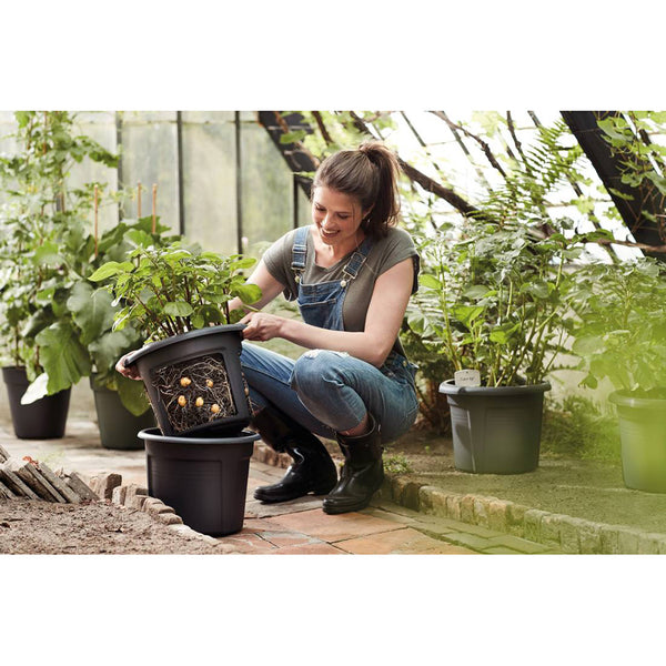 Elho Green Basics Potato Pot - DeWaldens Garden Centre