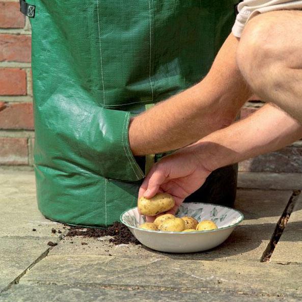 Gardman Grow It Potato Planters - Pack of 2 - DeWaldens Garden Centre