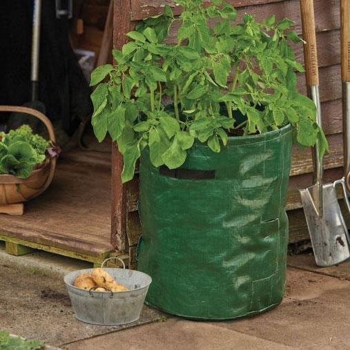 Gardman Grow It Potato Planters - Pack of 2 - DeWaldens Garden Centre