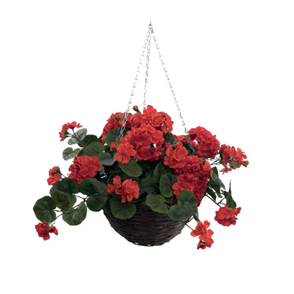 Henry Bell Red Geranium Hanging Basket - DeWaldens Garden Centre