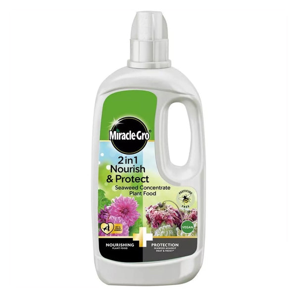 Miracle Gro Nourish & Protect Seaweed Plant Food 800ml - DeWaldens Garden Centre
