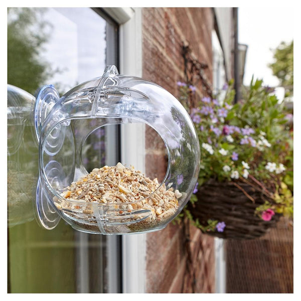 Peckish Globe Window Feeder | DeWaldens Garden Centre