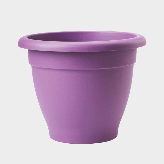 Stewarts Essentials Planter | Lavender |  DeWaldens Garden Centre