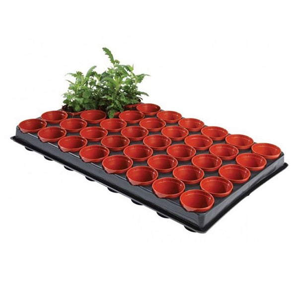 Plantpak Seed & Cutting Tray (40 Pots) - DeWaldens Garden Centre