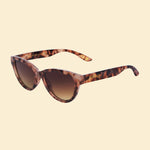 Powder Limited Edition Nora Tortoiseshell Sunglasses - DeWaldens Garden Centre