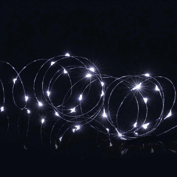 Premier Micro Brights Battery Operated 100 LED Lights - DeWaldens Garden Centre