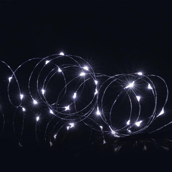 Premier MicroBrights Battery Operated 50 LED Lights | White | DeWaldens Garden Centre
