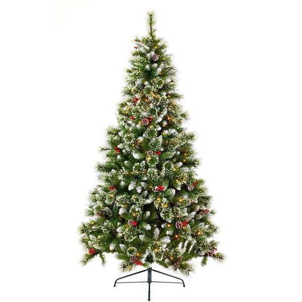 Premier 2.1m Pre-Lit Sugar Pine Tree with Iced Berries & Cones - DeWaldens Garden Centre