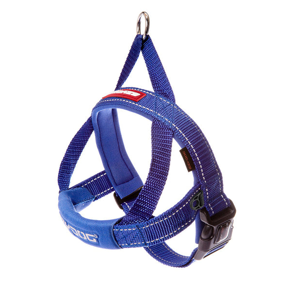 EzyDog Quick Fit Harness | Blue | DeWaldens Garden Centre