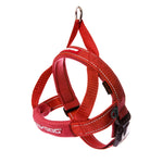 EzyDog Quick Fit Harness | Red | DeWaldens Garden Centre