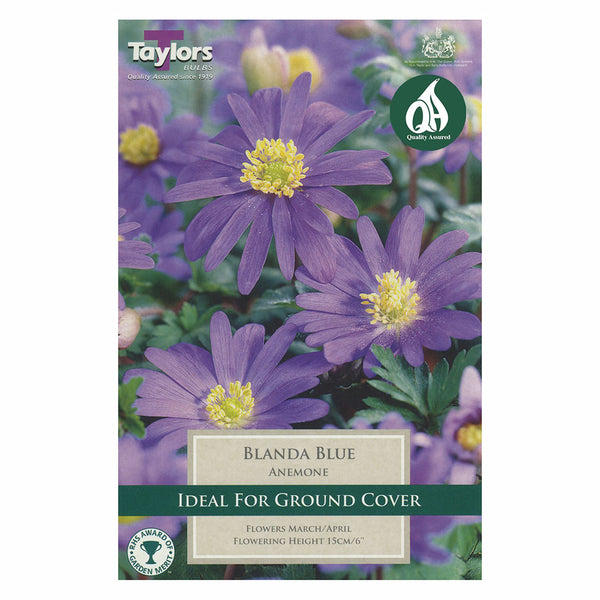 Taylors Bulbs - Anemone Blanda Blue x 20 Bulbs - DeWaldens Garden Centre