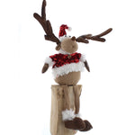 Festive Red Jacket Reindeer - DeWaldens Garden Centre