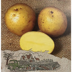 Swift Seed Potatoes 2.2kg - DeWaldens Garden Centre