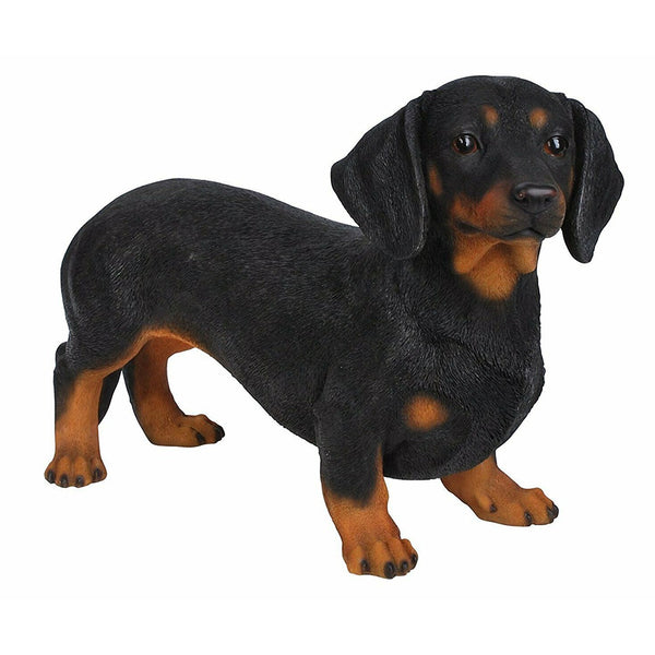 Vivid Arts Real Life Dachshund A - DeWaldens Garden Centre