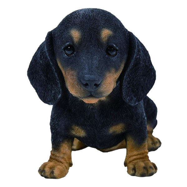 Vivid Arts Dachshund Puppy - DeWaldens Garden Centre