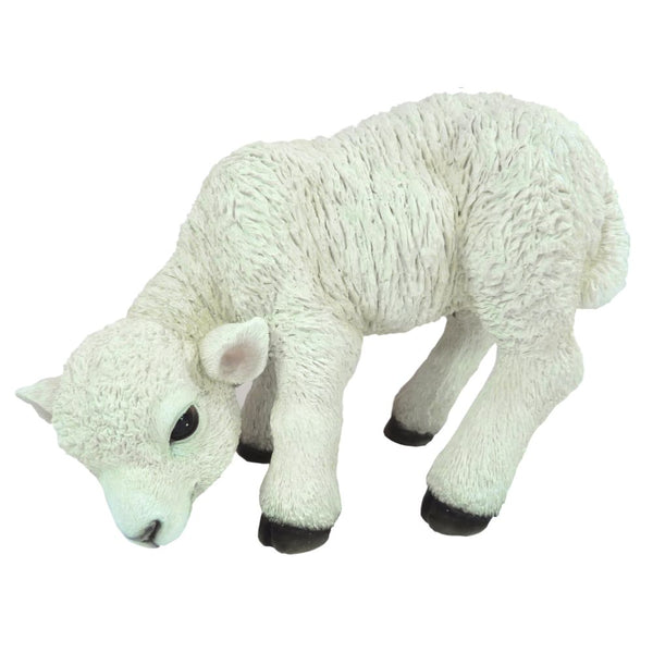 Vivid Arts Lamb - DeWaldens Garden Centre