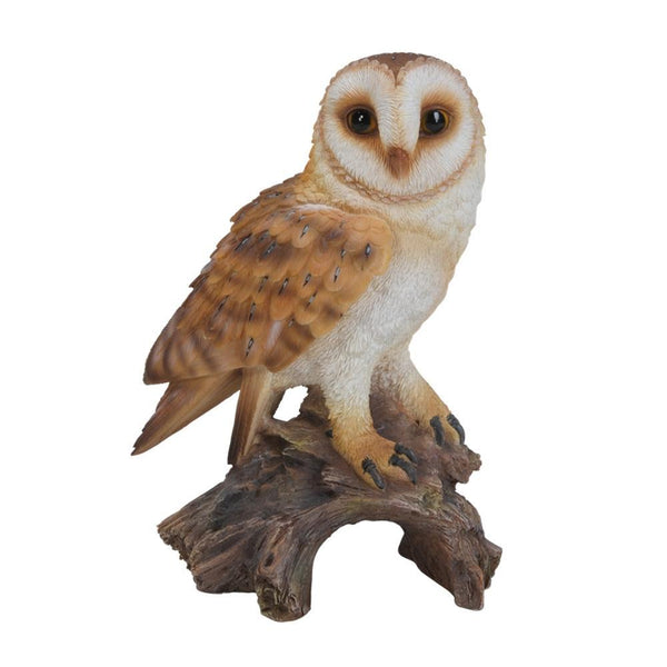 Vivid Arts Barn Owl - DeWaldens Garden Centre