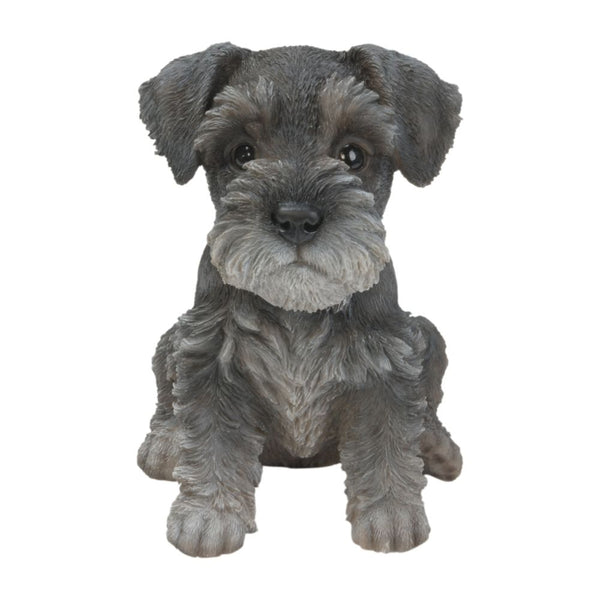 Vivid Arts Schnauzer Puppy Pet Pals - DeWaldens Garden Centre