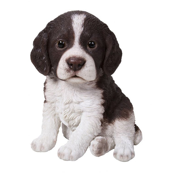 Vivid Arts Springer Spaniel Puppy Pet Pals - DeWaldens Garden Centre