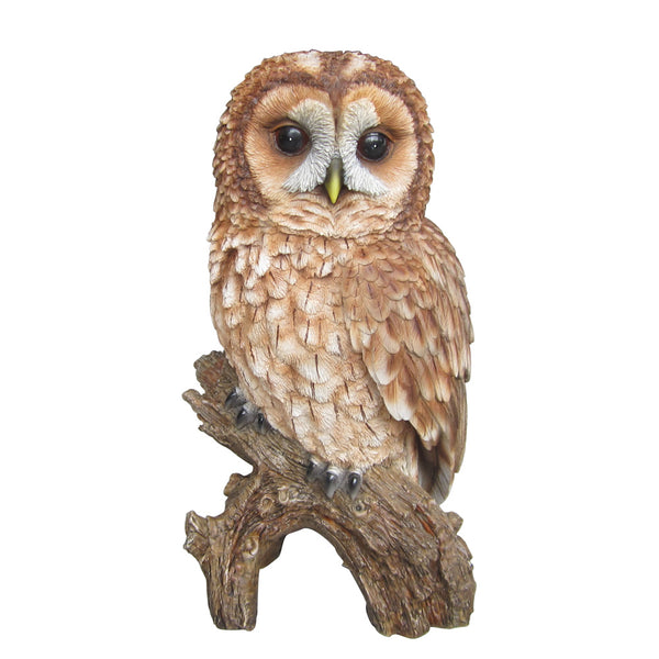 Vivid Arts Tawny Owl - DeWaldens Garden Centre