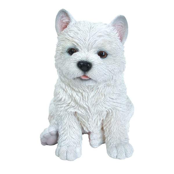 Vivid Arts West Highland Puppy Pet Pals - DeWaldens Garden Centre