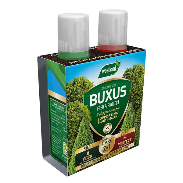 Westland Buxus 2 in 1 Feed & Protect - DeWaldens Garden Centre