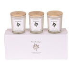 Woodbridge Set of 3 Soy Candles | Cashmere & Lilac | DeWaldens Garden Centre