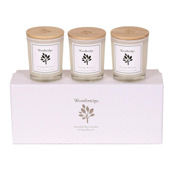 Woodbridge Set of 3 Soy Candles | Orange Blossom | DeWaldens Garden Centre